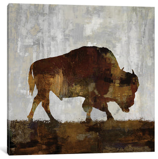 "Bison" by Carl Colburn, Canvas Print, 37"x37"