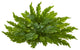 26" Fern Artificial Ledge Plant