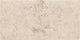 Serenissima 24"x12" Floor Tile