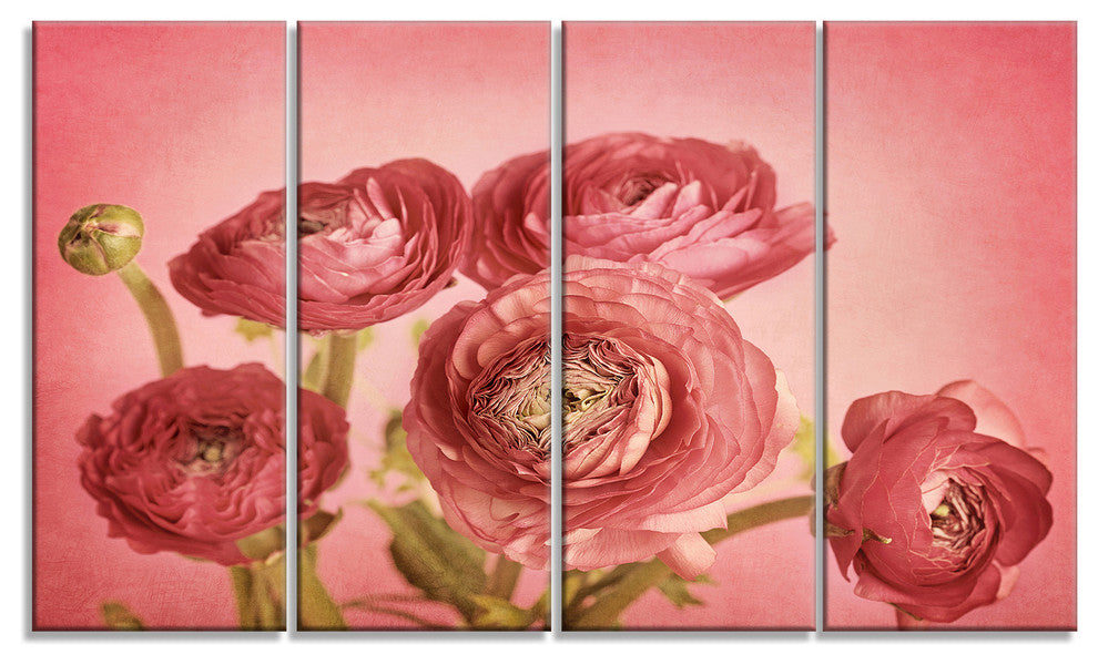 Bunch of Ranunculus Flowers on Pink, Floral Canvas Print, 48"x28", 4 Panels