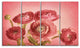 Bunch of Ranunculus Flowers on Pink, Floral Canvas Print, 48"x28", 4 Panels