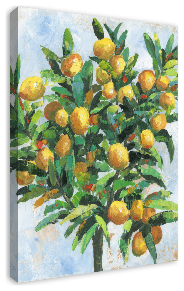 Lemon Tree 24x36 Canvas Wall Art