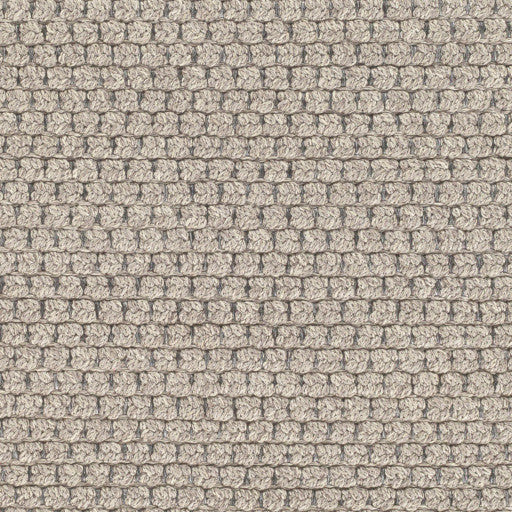 Surya Reef REE-2000 8'x10' Rug, Light Gray