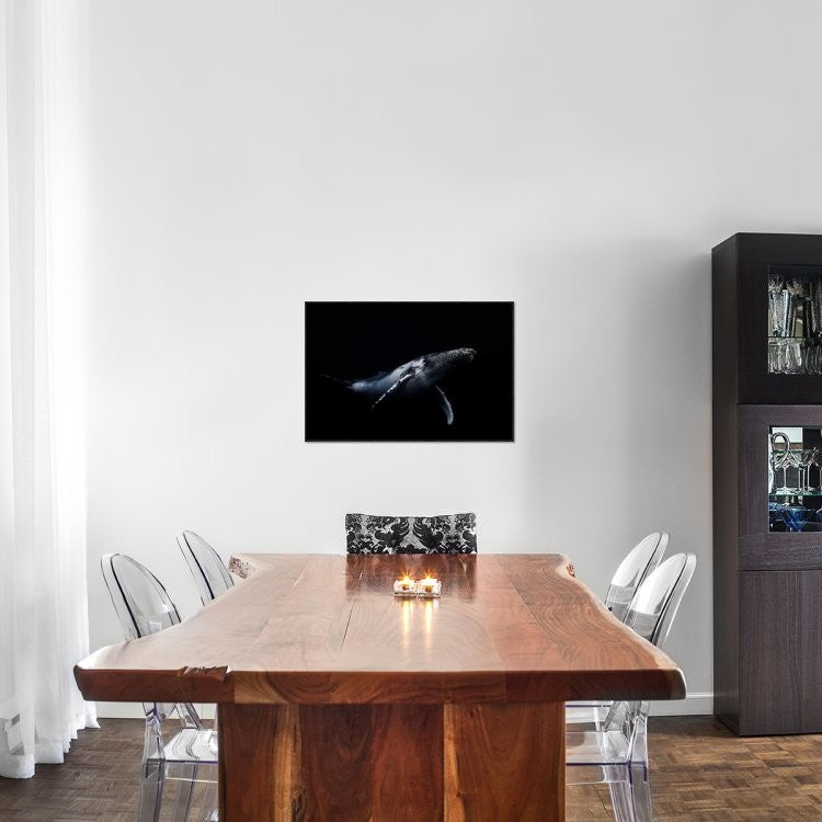 "Black and Whale" Framed Canvas Giclee by Barathieu Gabriel, 31x21"