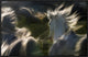 "Esata Equina" Framed Canvas Giclee by Milan Malovrh, 31x20"
