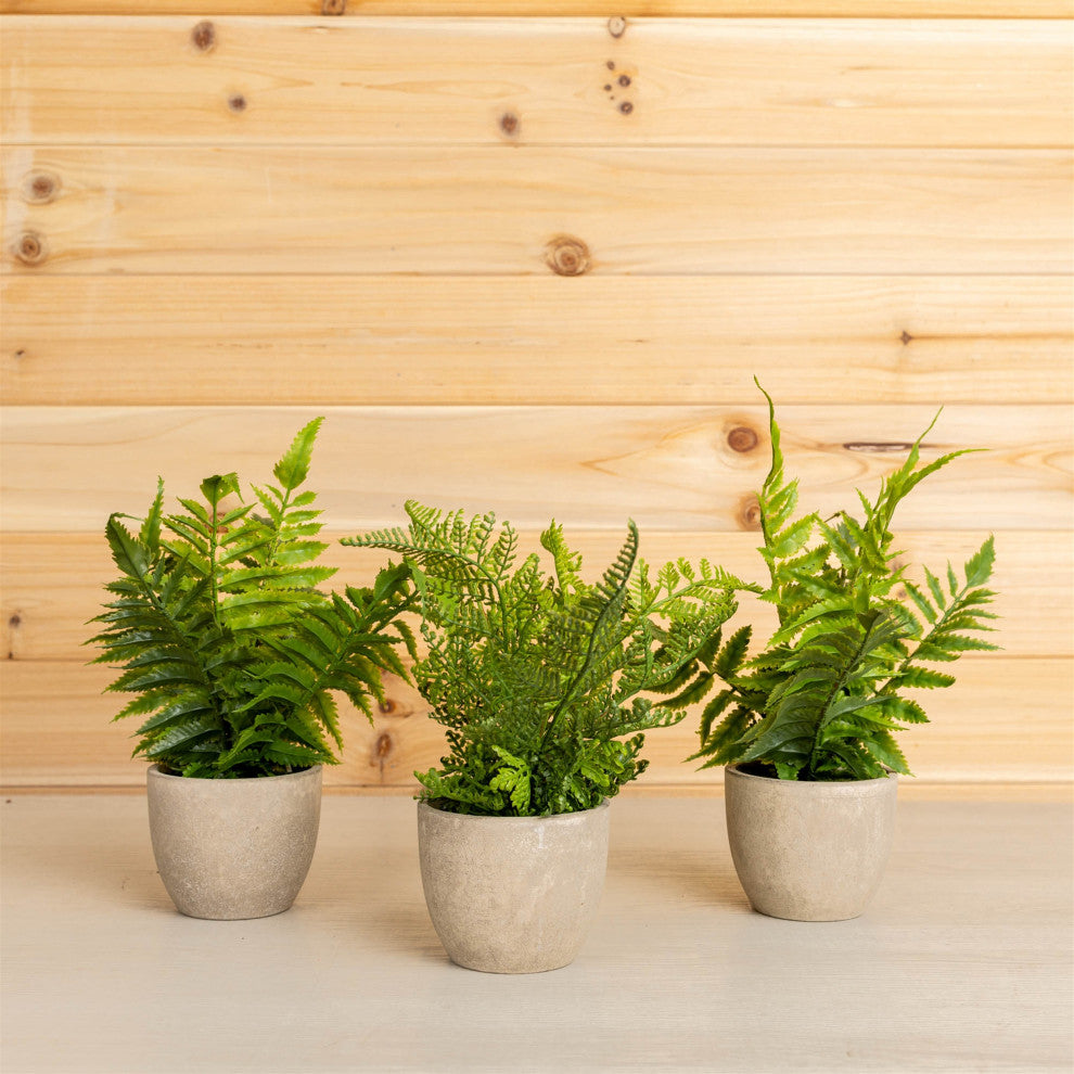 Potted Fern, 3-Piece Set, 9.5"H Plastic