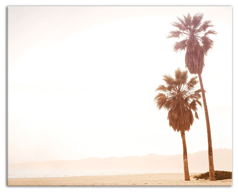 Sepia Palm Trees 16x20 Canvas Wall Art