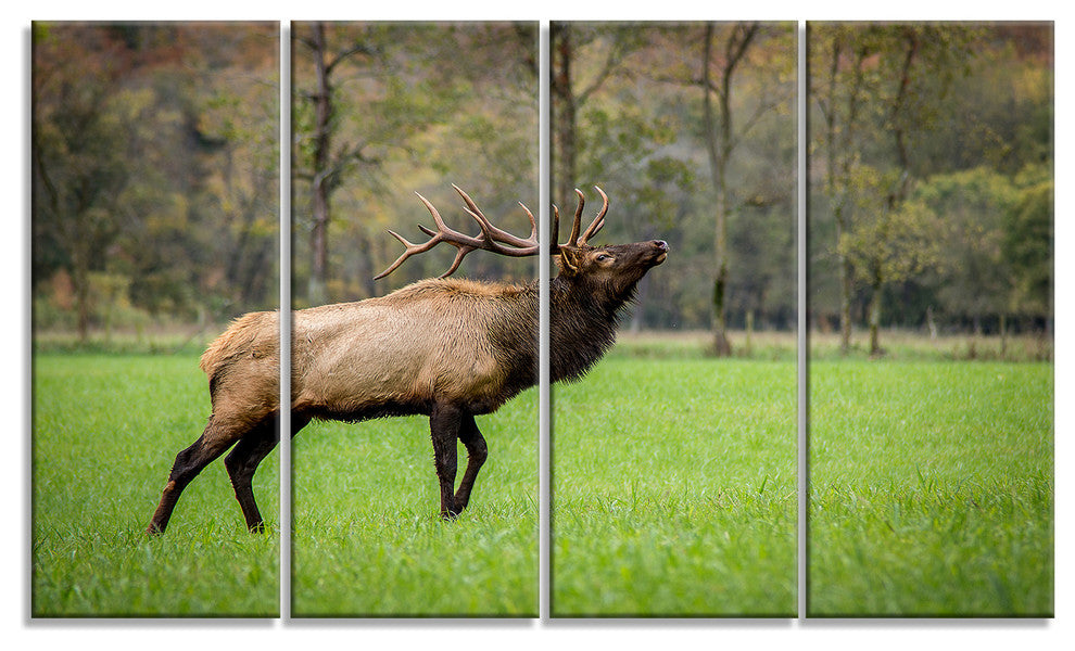 Trophy Bull Elk in Green Grassland, Animal Canvas Artwork, 48"x28", 4 Panels