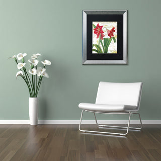 Color Bakery 'Peppermint Amaryllis' Art, Silver Frame, Black Matte, 16"x20"