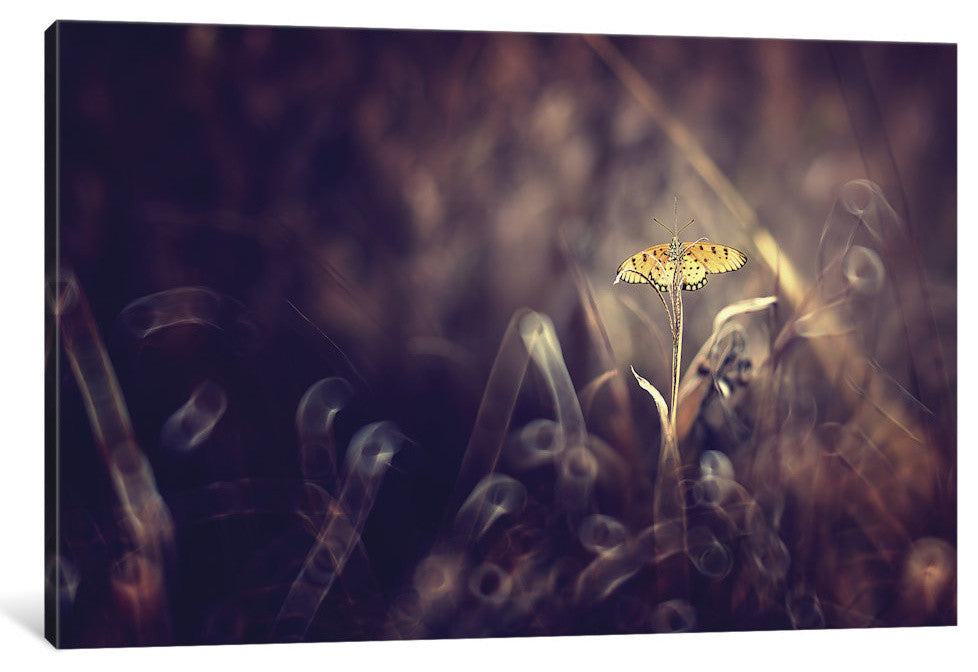 "Dark Violet" by Donald Jusa, 40x26x1.5