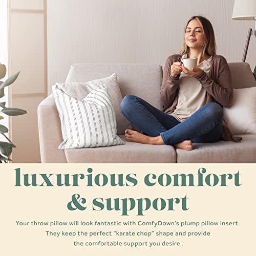 ComfyDown 95% Feather 5% Down Square Decorative Pillow Insert, 21"x21"