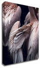 Flamboyance 1 by Design Fabrikken, Print on Canvas, 20"x28"