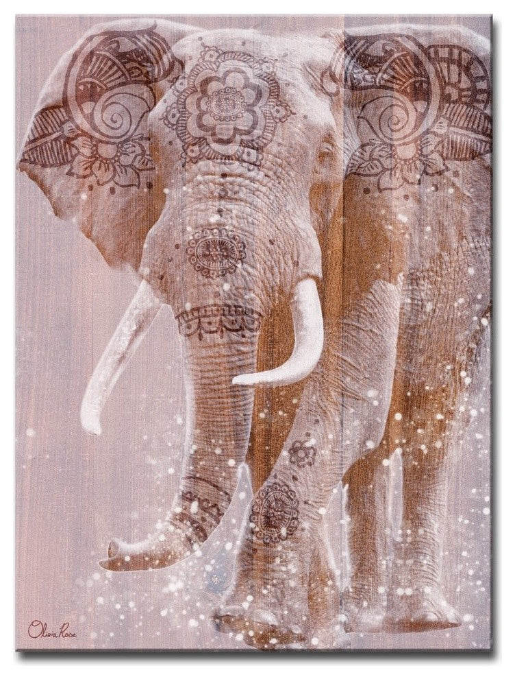 Ready2HangArt 'Wild Zen II' Inspirational Canvas Art by Olivia Rose, 16"x12"