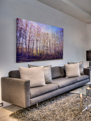 "Forest of Trees" Print on Canvas by Sylvia Cook
