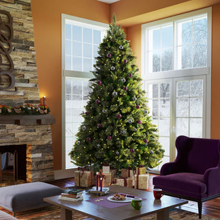 3.5' X 28" Potted Cashmere Pine 100Mu