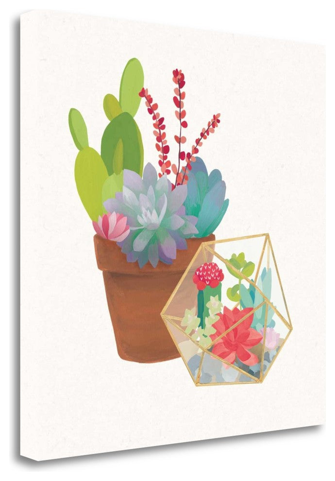 "Succulent Garden II" By Wild Apple Portfolio, Giclee on Gallery Wrap Canvas