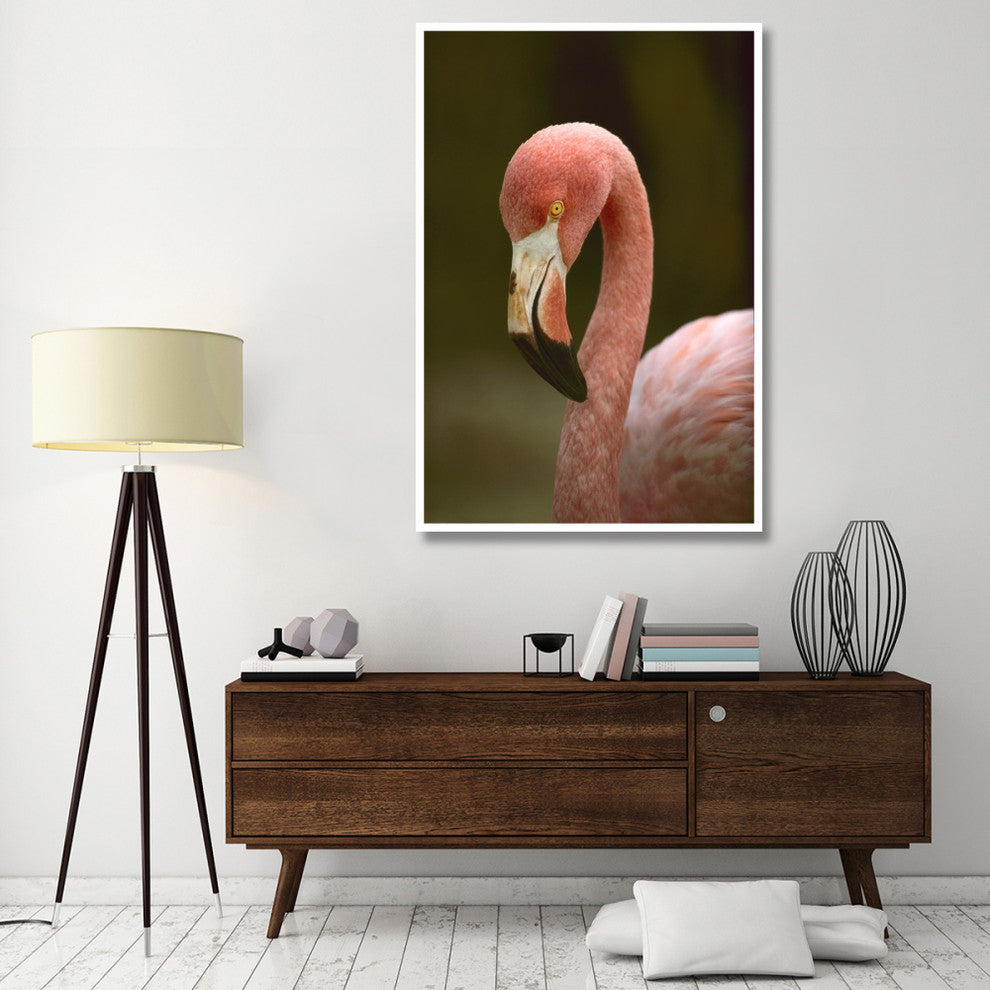 "Greater Flamingo, Caribbean" Digital Paper Print by Tim Fitzharris, 42"x62"