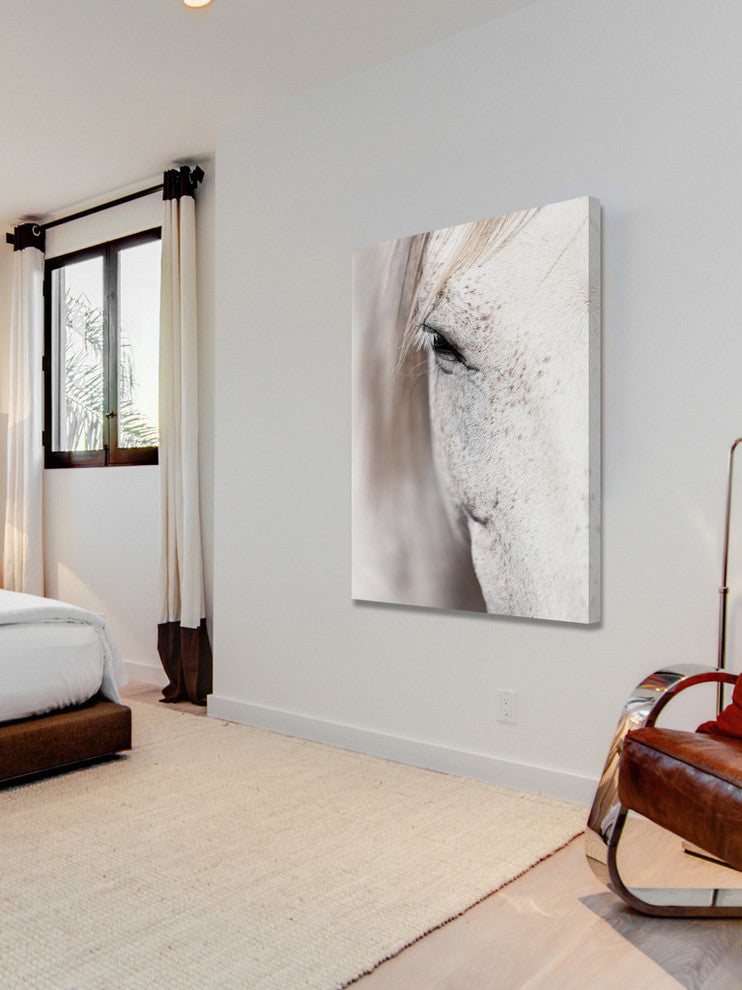 "Horse Eye" Painting Print on Wrapped Canvas