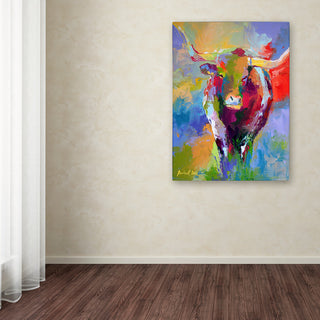 'Longhorn' Canvas Art by Richard Wallich