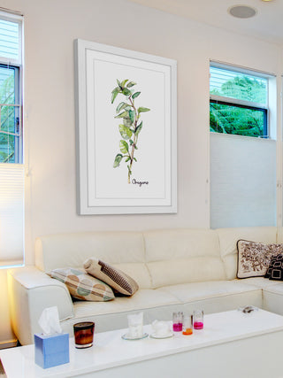 "Herb Oregano" Framed Print by Rachel Byler