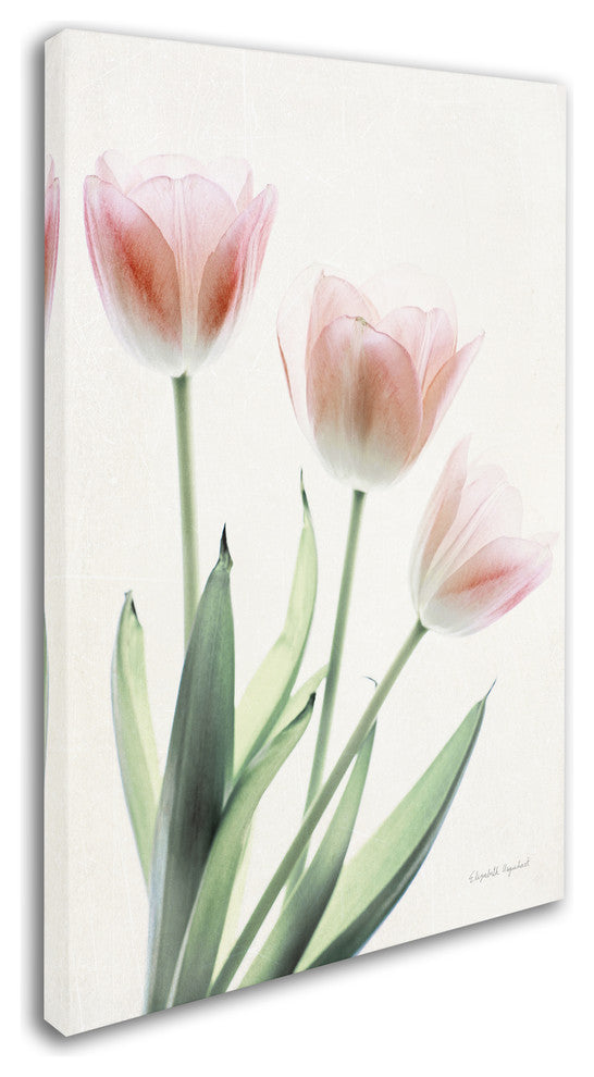 "Light and Bright Floral II" by Elizabeth Urquhart, Canvas Art, 16"x24"