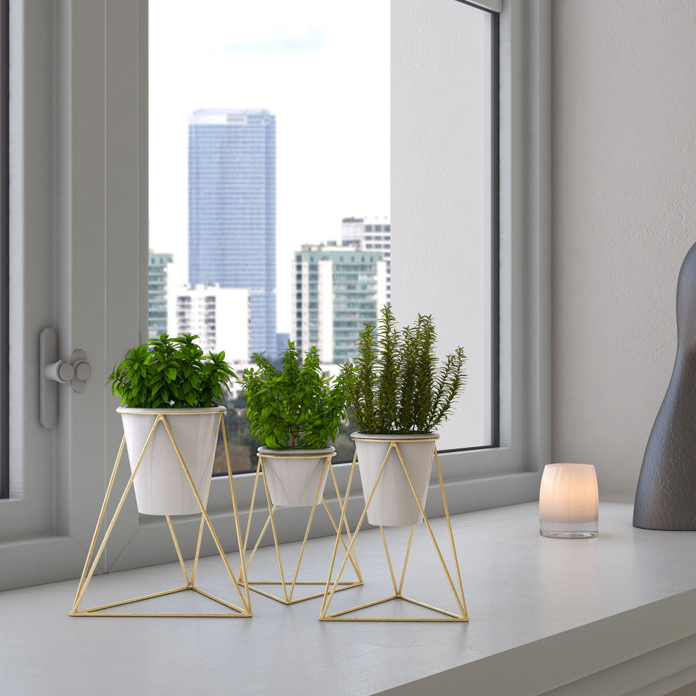 3-Piece Viola Table Top Planter Set