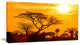 "Orange Glow of African Sunset" Extra Large Wall Art Landscape, 1 Panel, 60"x28"
