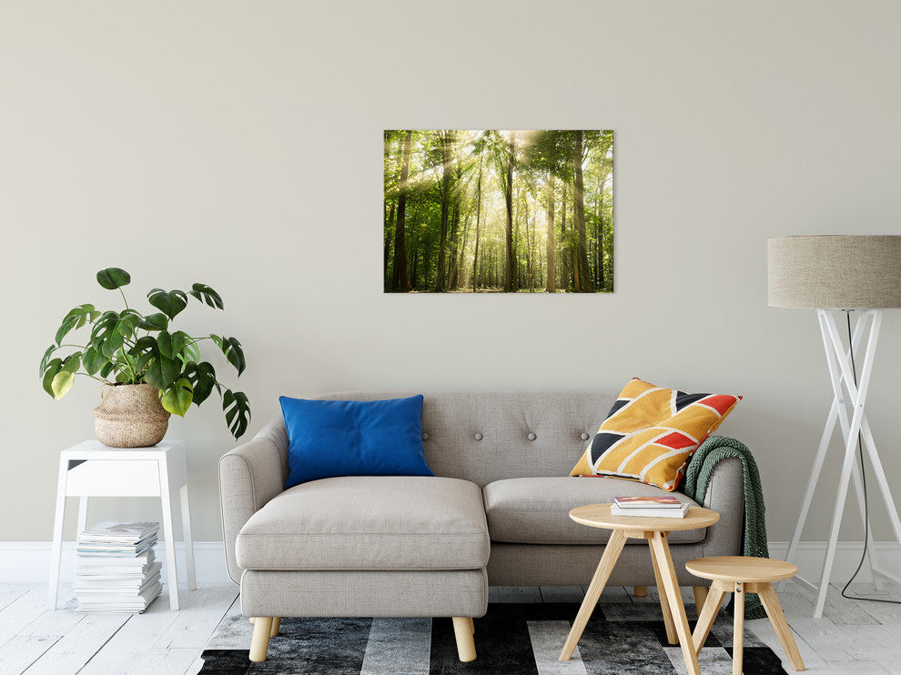 Sun Rays Through Tree Tops Rural Landscape Photo Canvas Wall Art Print, 24" X 36"