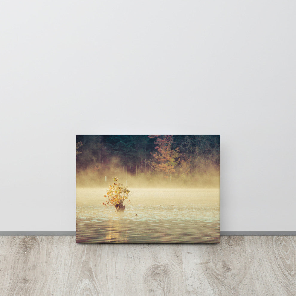 Golden Mist on Waples Pond Rural Landscape Photo Canvas Wall Art Print, 12" X 16"