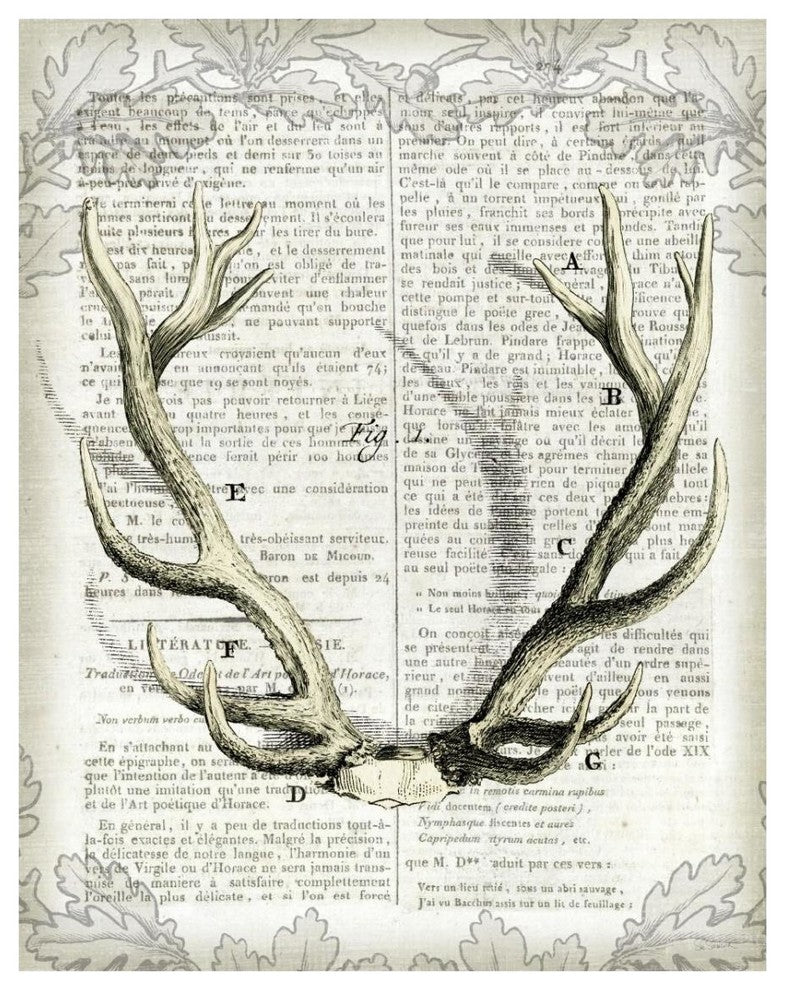 "Regal Antlers on Newsprint I" Digital Paper Print by Sue Schlabach, 24"x30"