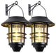 2 Pack Hanging Solar Lights Outdoor Hanging Lantern