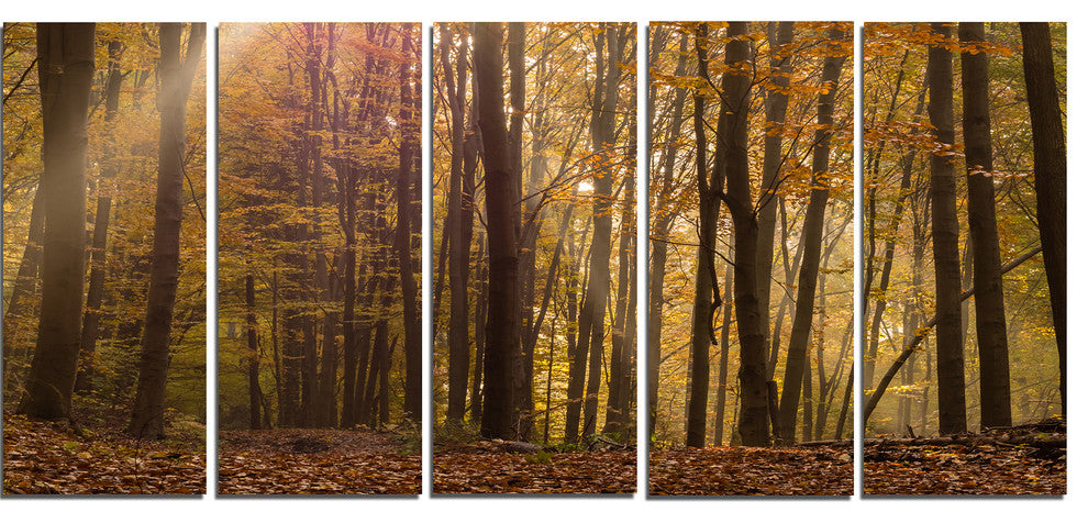 Dense Forest in Rays of Rising Sun, Forest Canvas Art Print, 60"x28", 5 Panels