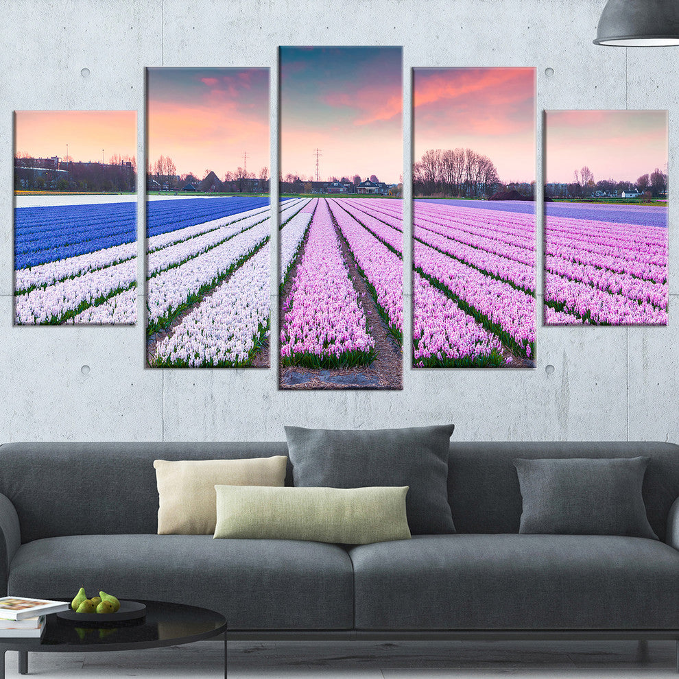 "Colorful Hyacinth Flowers at Sunrise" Canvas Photo Print, 5 Panels, 60"x32"