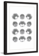 Marmont Hill, "Shells" by Bryon White Framed Painting Print, 30x45
