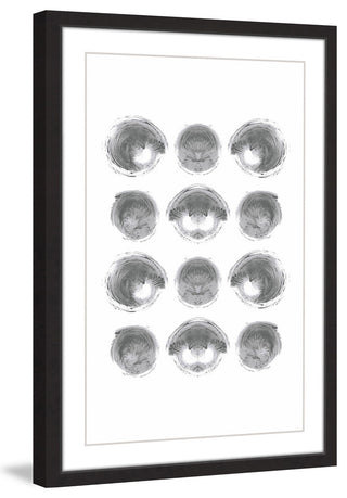 Marmont Hill, "Shells" by Bryon White Framed Painting Print, 30x45