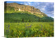 "Gothic Mountain Overlooking Meadow Near Crested Butte, Colorado" Artwork