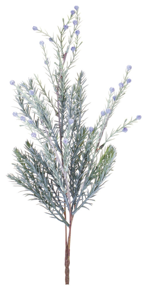 Pine Spray, Set of 6