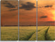 "Sunset Over a Field of Cereals" Metal Landscape, 3 Panels, 36"x28"