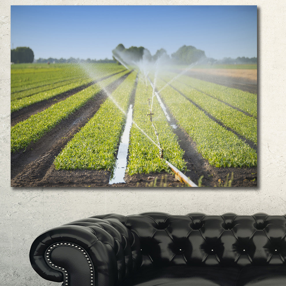 Beautiful View of Crops Watering, Large landscape Canvas Art Print, 60x40