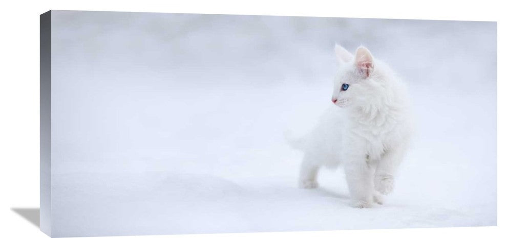 "White As Snow" Stretched Canvas Giclee by Esmee Prexus, 36x18"