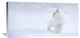 "White As Snow" Stretched Canvas Giclee by Esmee Prexus, 36x18"