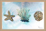 Sea Life Door Mat 18x26