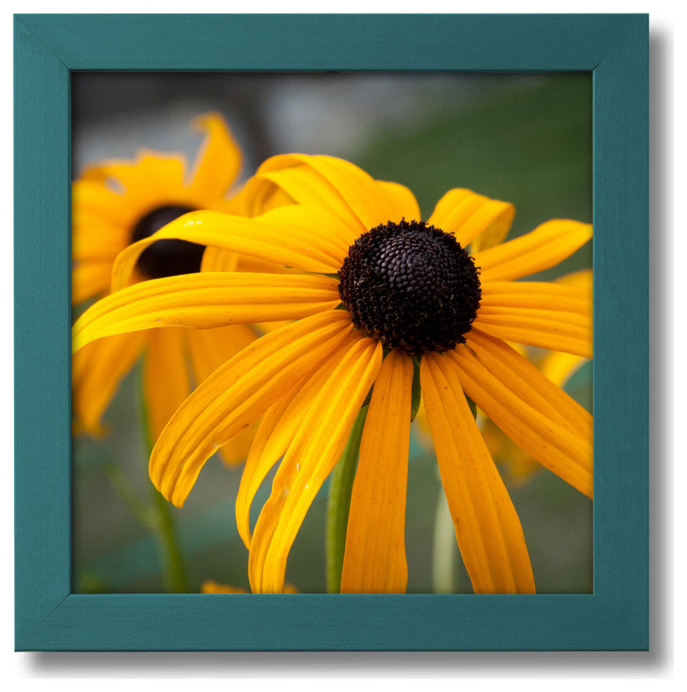 Bold Legacy .75" Frame, Teal, 10"x10"