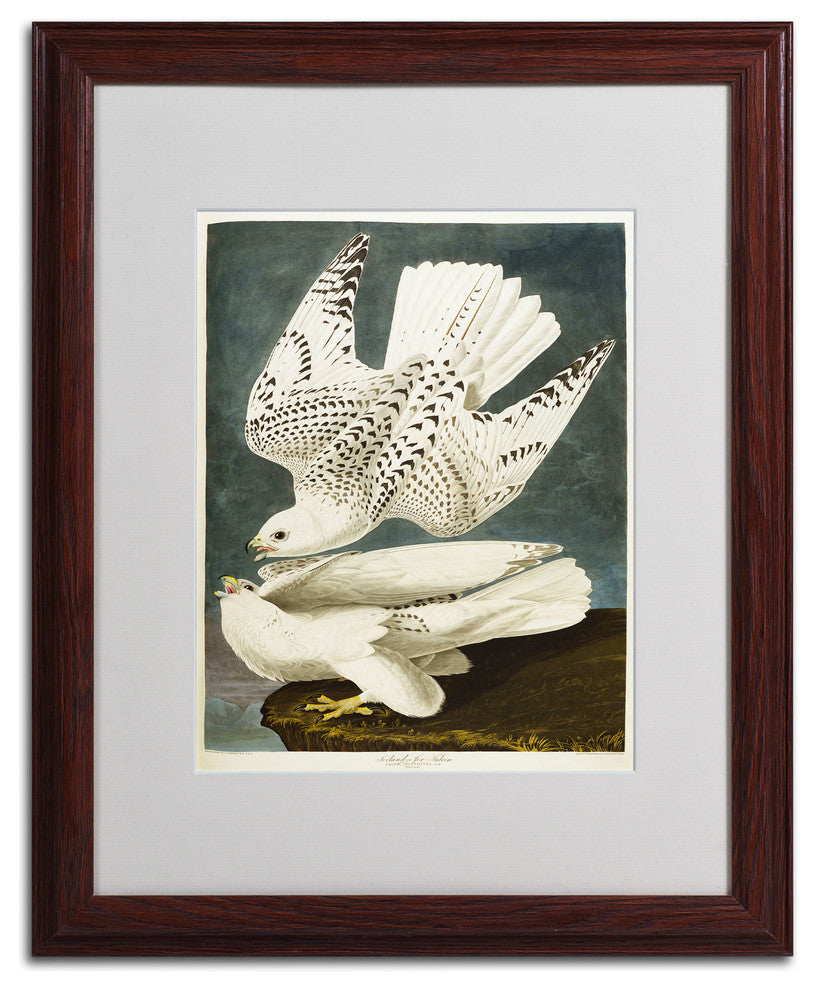 'Iceland or Jer Falcon' Matted Framed Canvas Art by John James Audubon