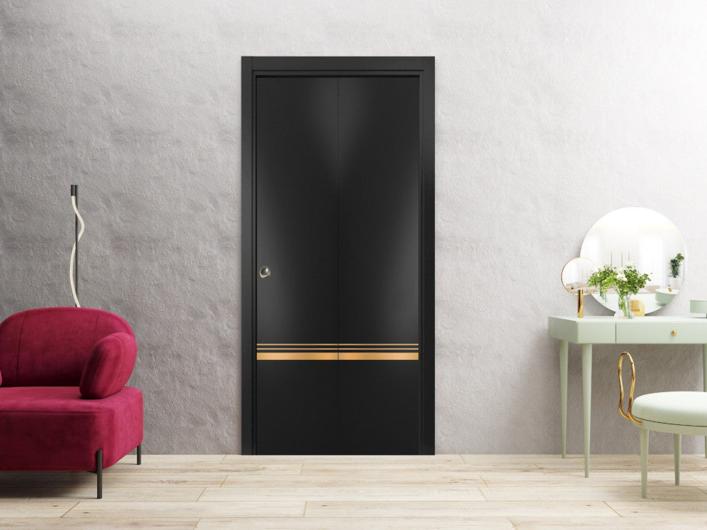 Bi-fold Doors 48 x 96 | Planum 2010 Matte Black with  | Sturdy Tracks