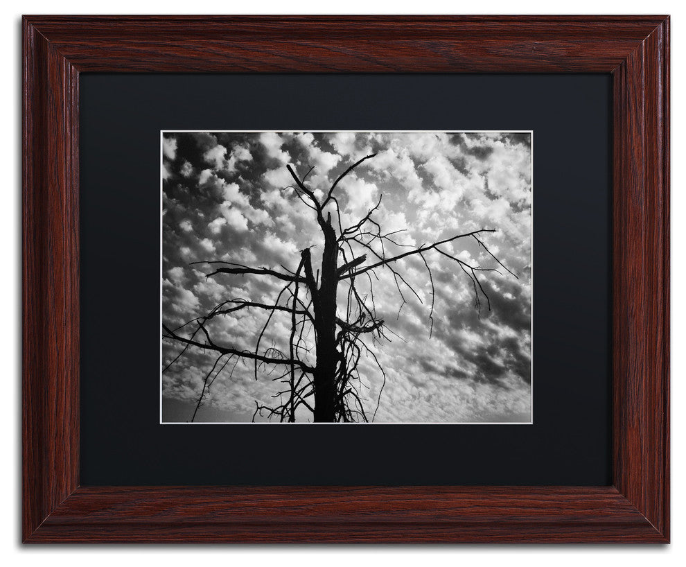 Jason Shaffer ''Sandy Ridge 2'' Matted Framed Art, Wood Frame, Black Mat, 14x11