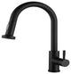 1-Handle Deck Mounted Pull Out Stainless Steel Kitchen Faucet, Matt Black