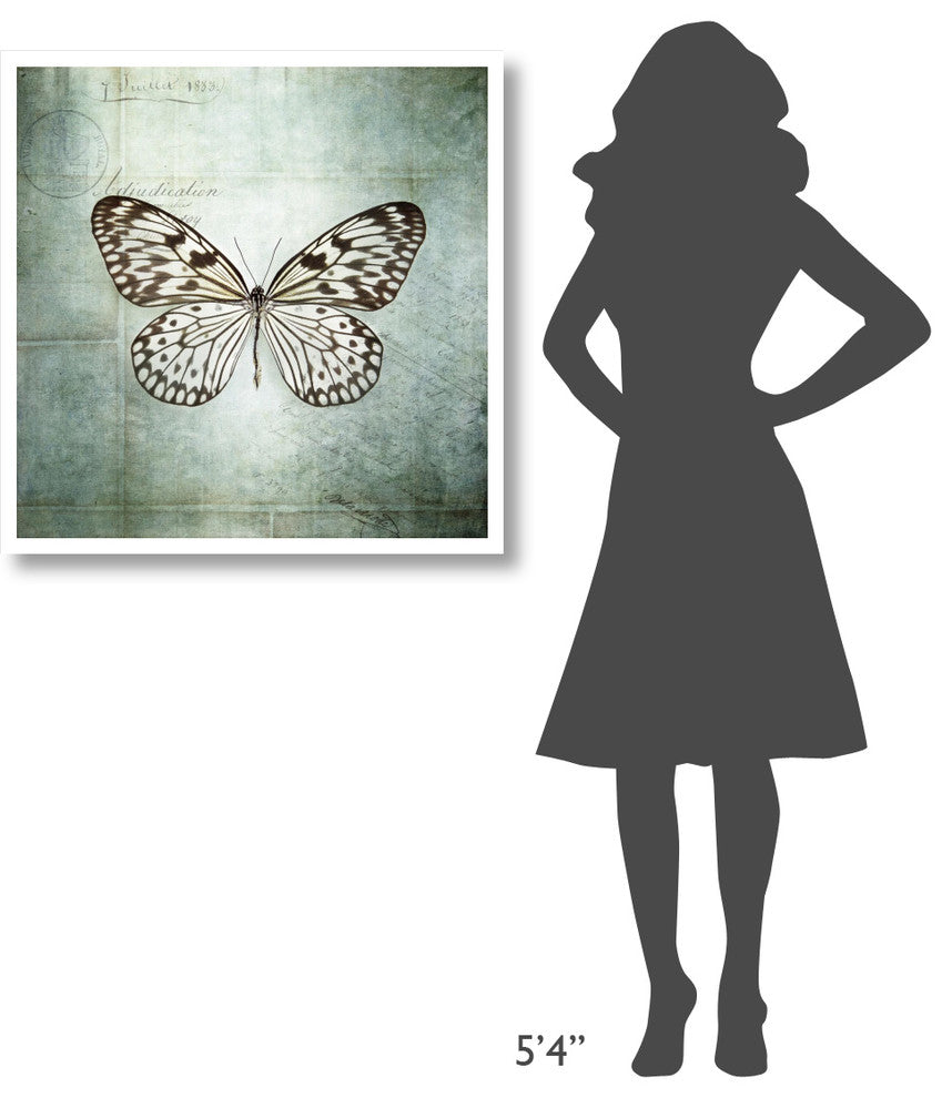 "French Butterfly V" Digital Paper Print by Debra Van Swearingen, 32"x32"
