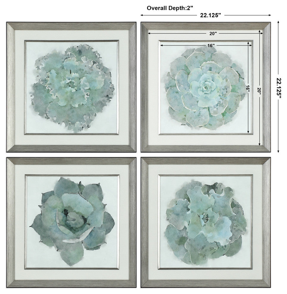 Uttermost Natural Beauties Botanical Prints, Set of 4