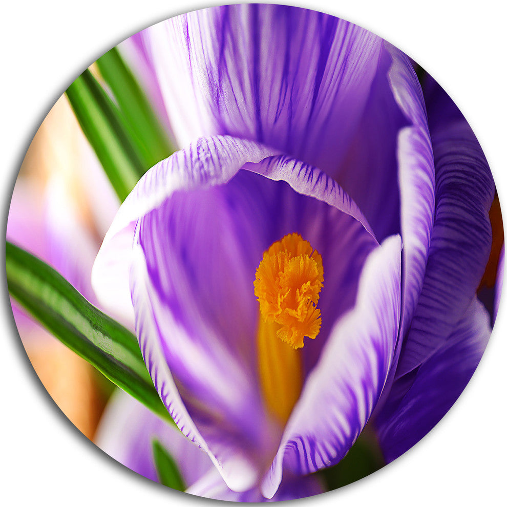 Blooming Crocus Flower, Floral Round Metal Wall Art, 23"